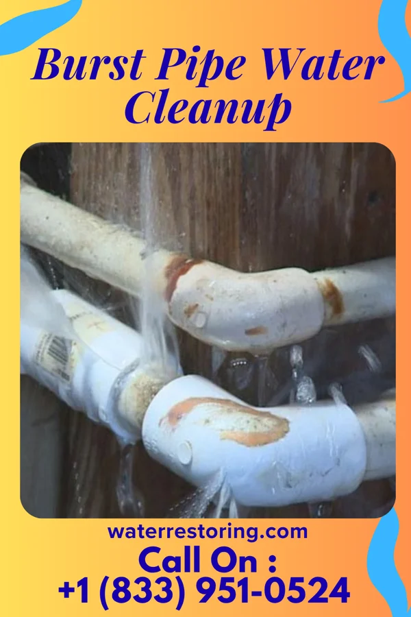 Burst Pipe Water Cleanup in Butler, WI