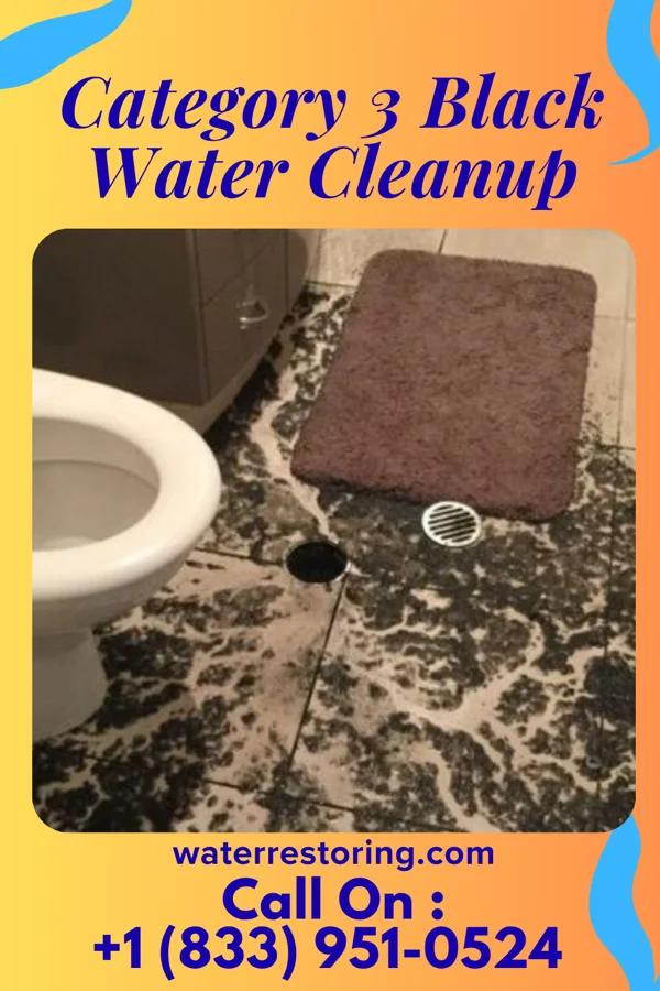 Category 3 Black Water Cleanup in Butler, WI