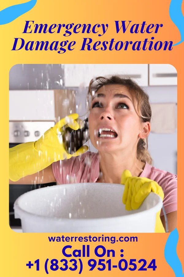 Emergency Water Damage Restoration in Butler, WI