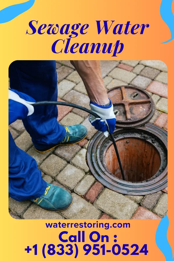 Sewage Water Cleanup in Butler, WI