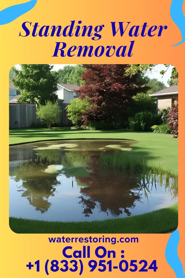 Standing Water Removal in Butler, WI